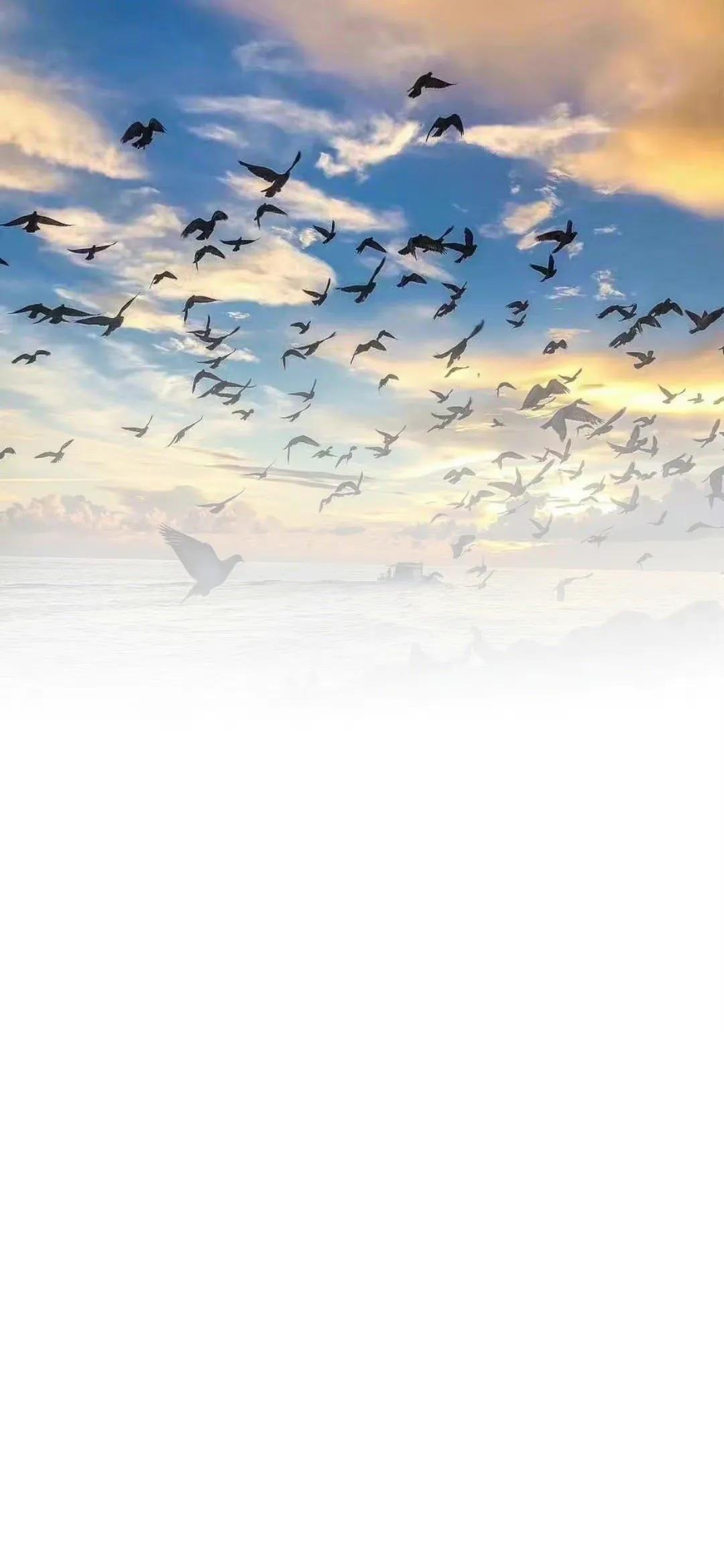 聊天背景图高清无水印清新,好看的聊天背景图唯美清新