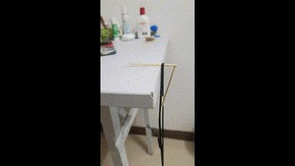 水之呼吸，物理之型，水流振动！|正经玩