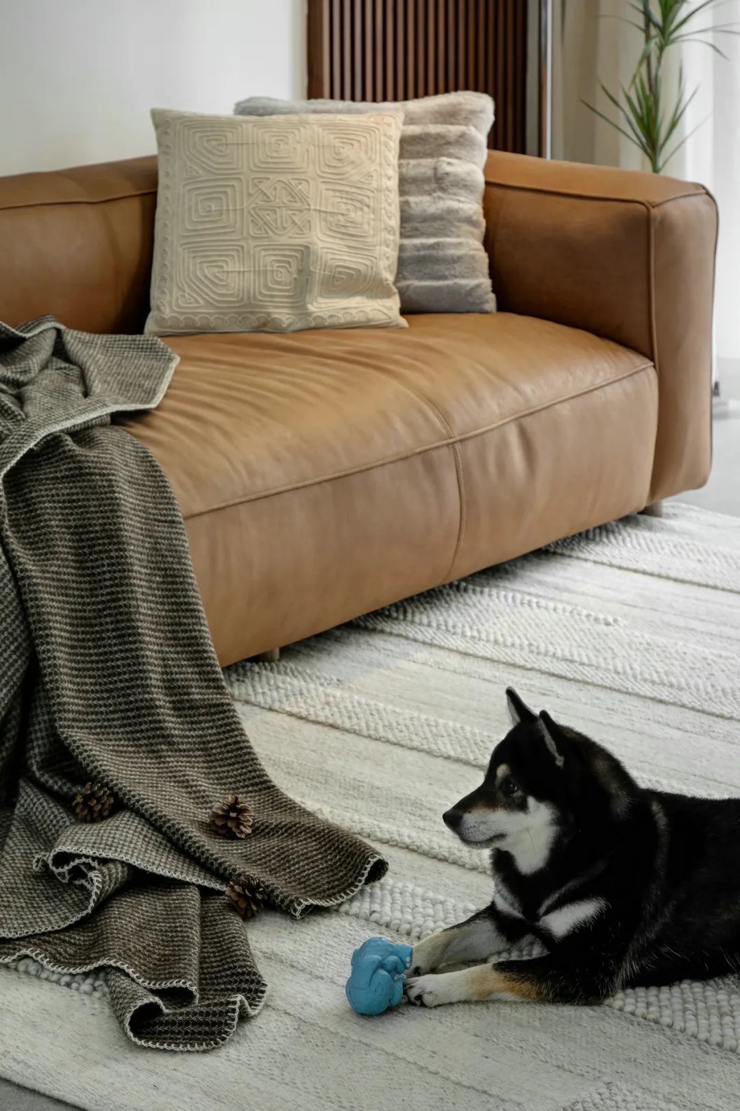 看了女人才知道什么是气质,如何把大白墙改造更高级