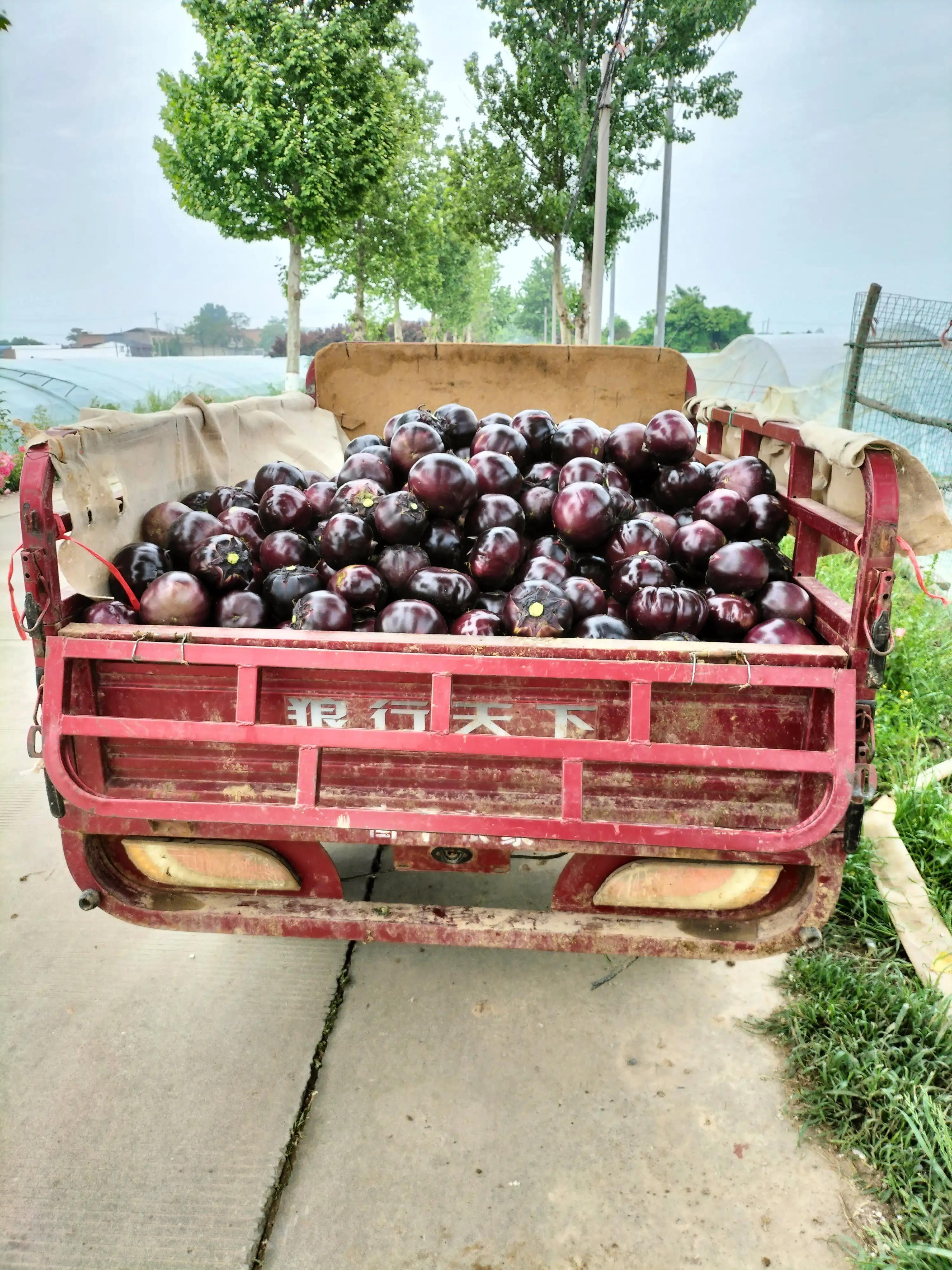 农村拉货电动三轮车,农村以旧换新电动三轮车