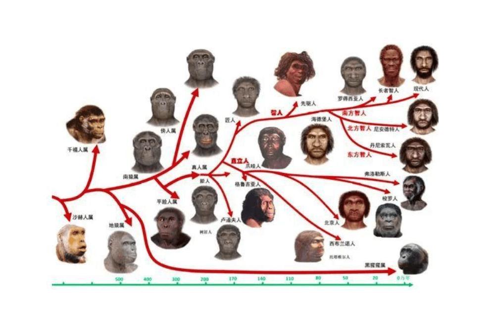 理性评价宝马mini冰淇淋事件,外国对宝马mini冰淇淋事件评论