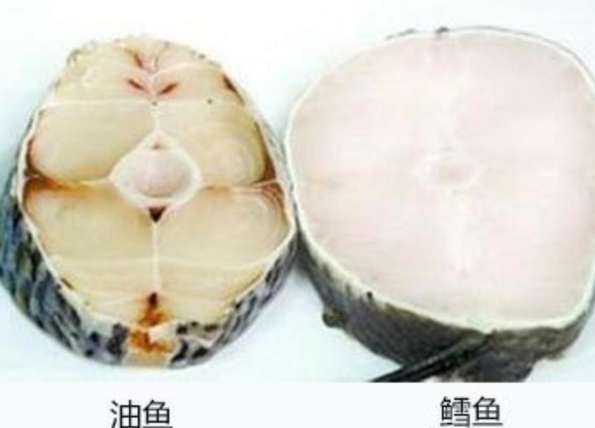 油鱼吃完后漏油的样子,油鱼有什么危害