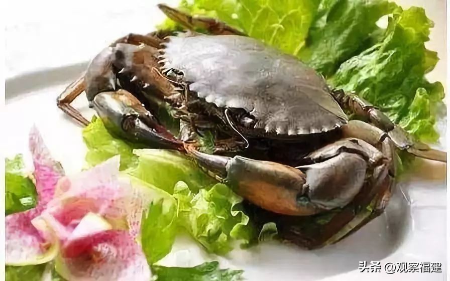 诏安秋天吃什么海鲜,福建各种海鲜图片大全