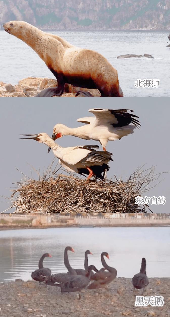 长岛都有哪些风景,人间仙境山东长岛