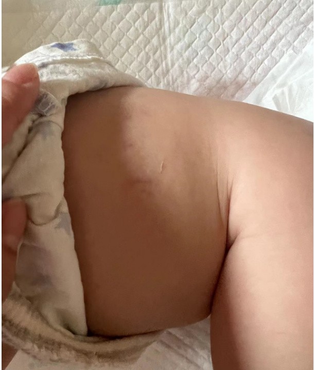 虐婴、偷盗、无证上岗…天鹅到家真的香吗？