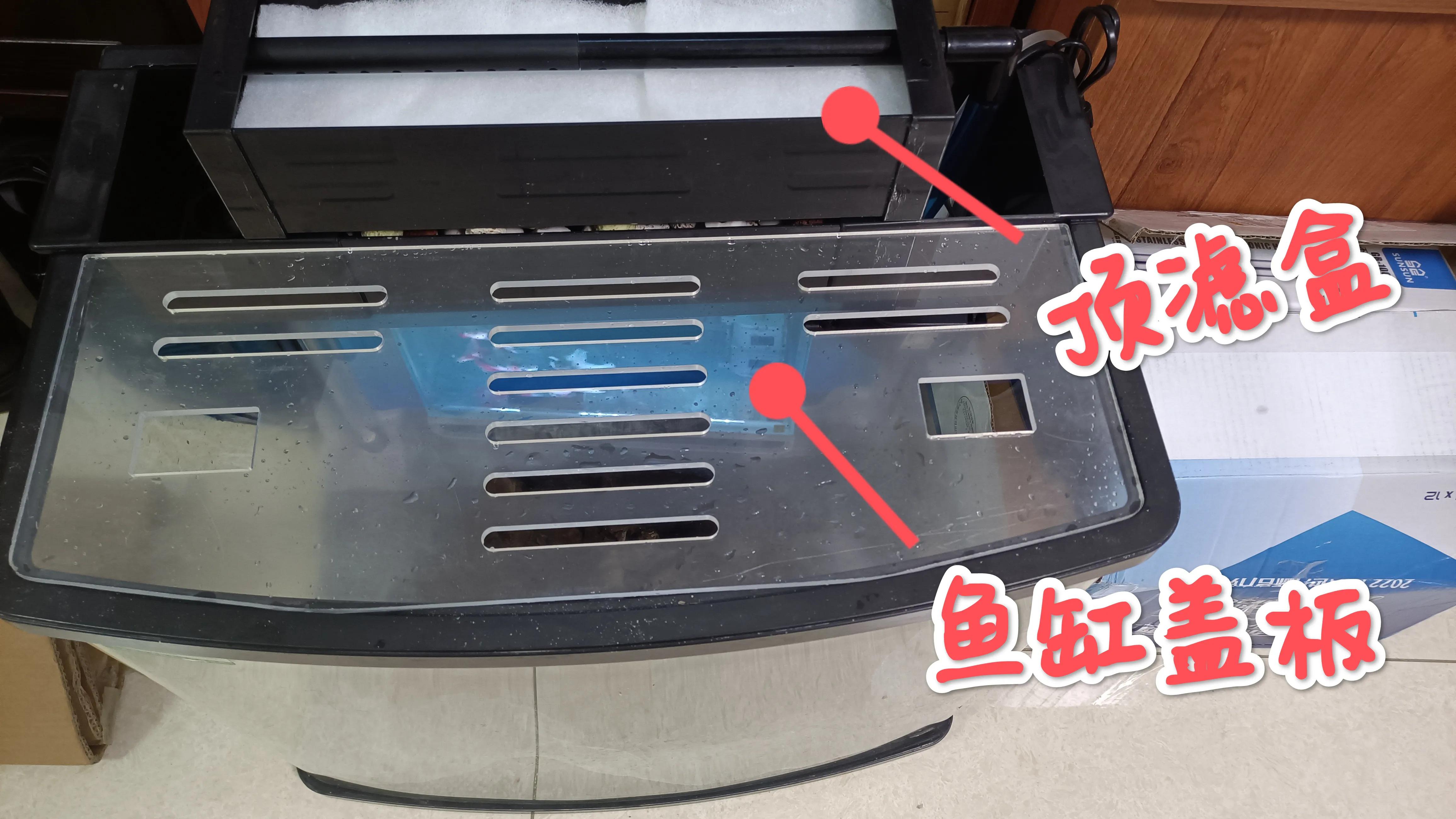 闽江溪流鱼缸,溪流缸自制鱼缸全部过程