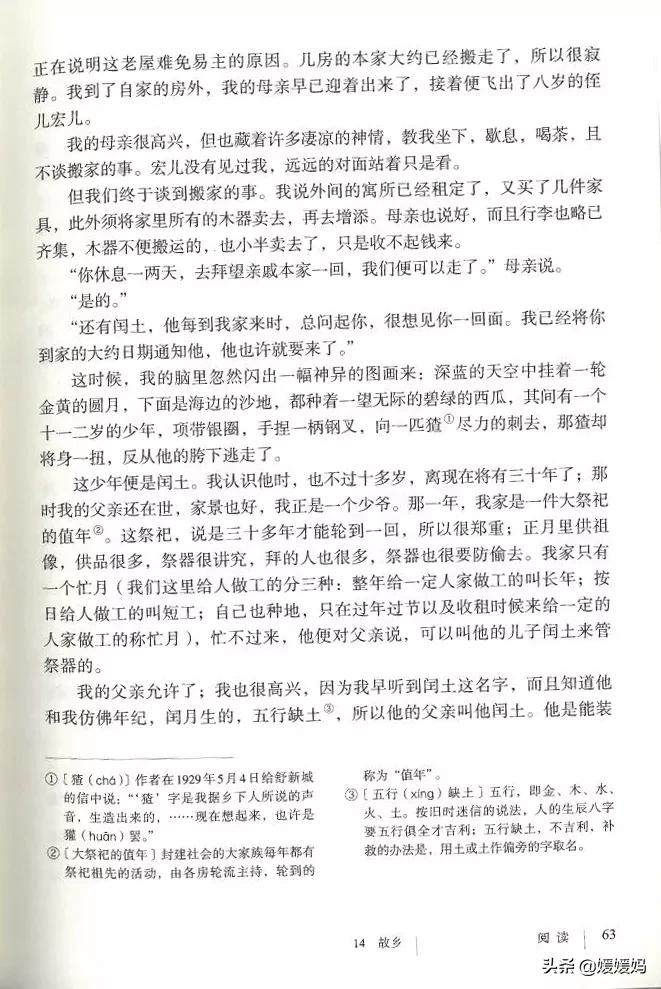 九年级上册语文第15课故乡预习,语文书人教版九上故乡ppt