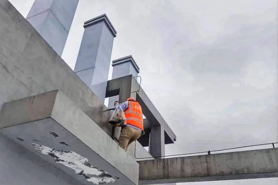 浙江联通：今年最强，“梅花”登陆！