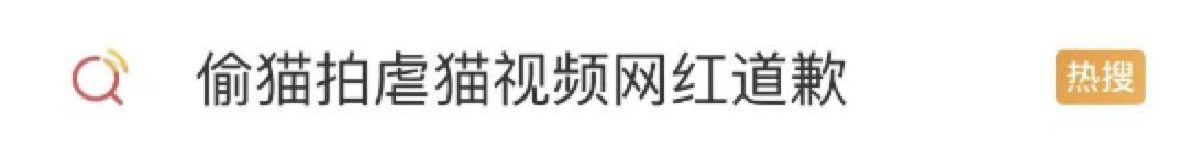 出手了!虐猫群伪装被撕开,上百个账号被封停……