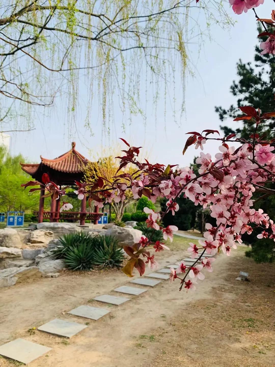 红叶诗五言全文,红叶的诗句古诗大全