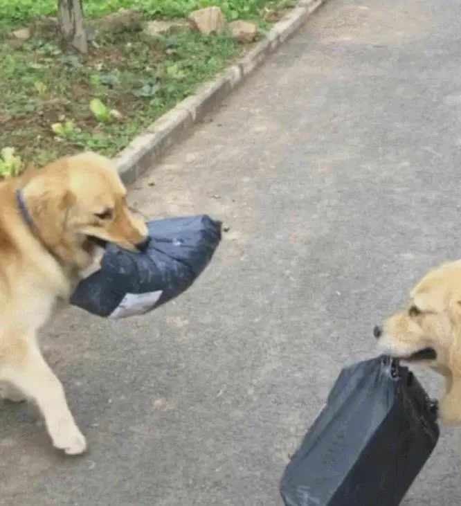 新手笔记本验机教程,笔记本电脑开箱验机流程小白