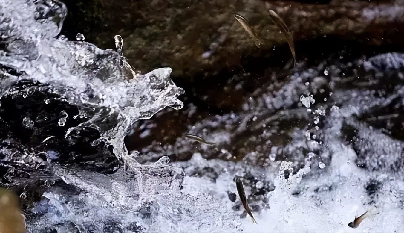 提醒幼儿注意身体六一,在汉中六一适合带孩子吃什么