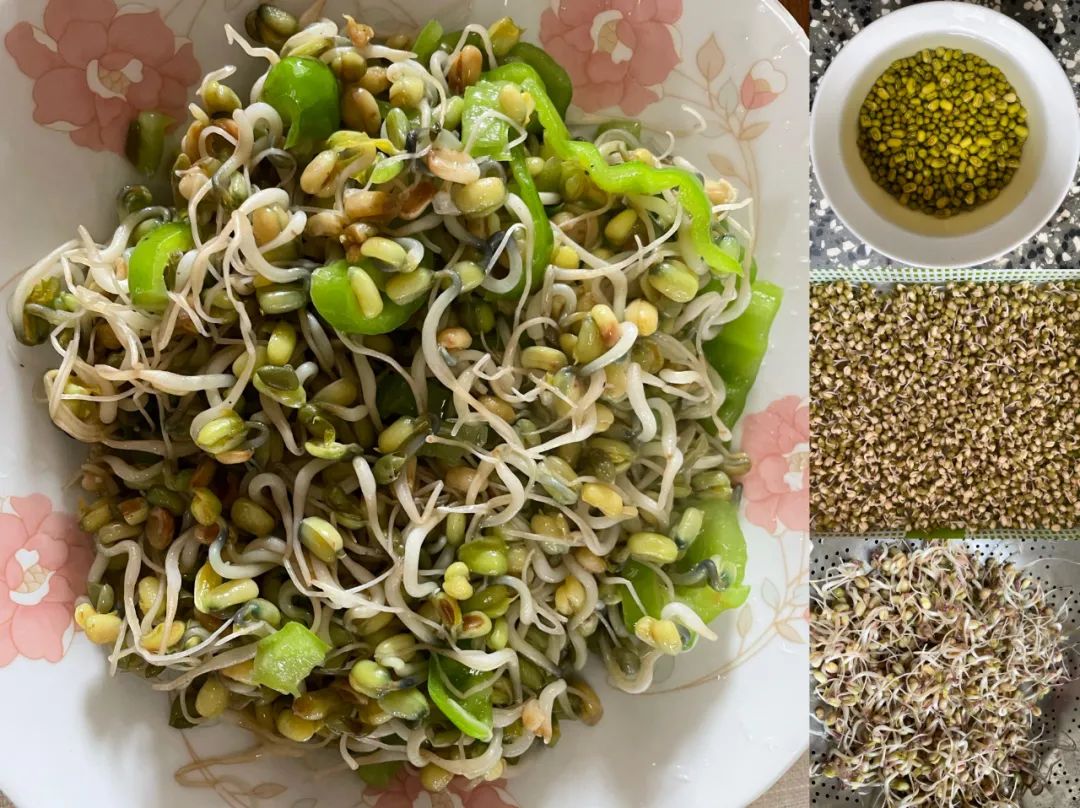 上海人的优势和缺点,上海人优点缺点