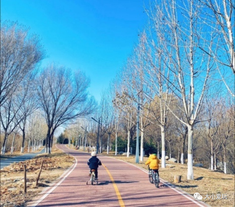 可以遛娃的公园,适合遛娃旅游的公园