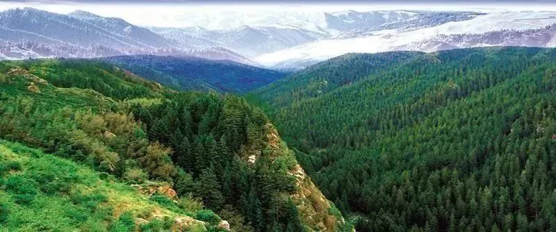 甘肃是最长的省吗,甘肃东西最长有多长