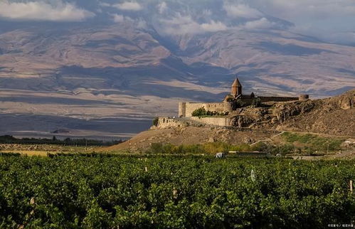 8世纪前期法兰克国王是谁,法兰克国王是哪国皇帝