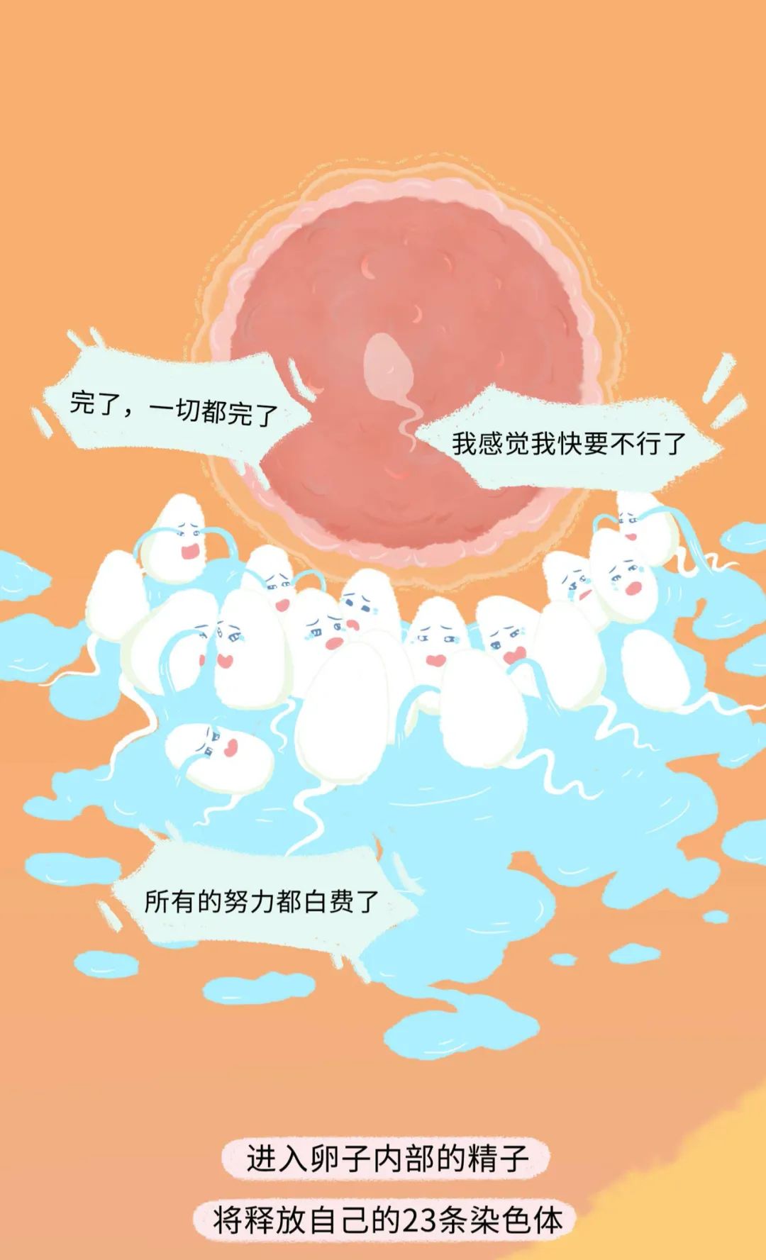 女人如何怀孕是女孩,女人怀孕整个过程