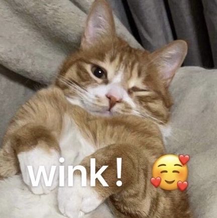 家居灯怎么选瓦数,怎样选家居用灯led瓦数