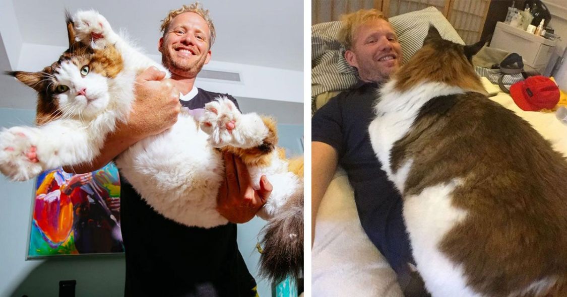 29个罕见动物镜头,100个罕见动物图片