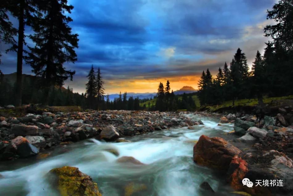 青海祁连山哪个位置最好,祁连山为什么一面森林一面草原