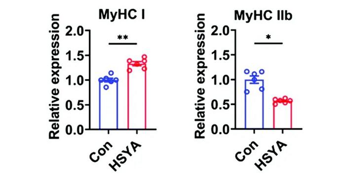 红花油有什么妙用,红花油的成分有红花吗