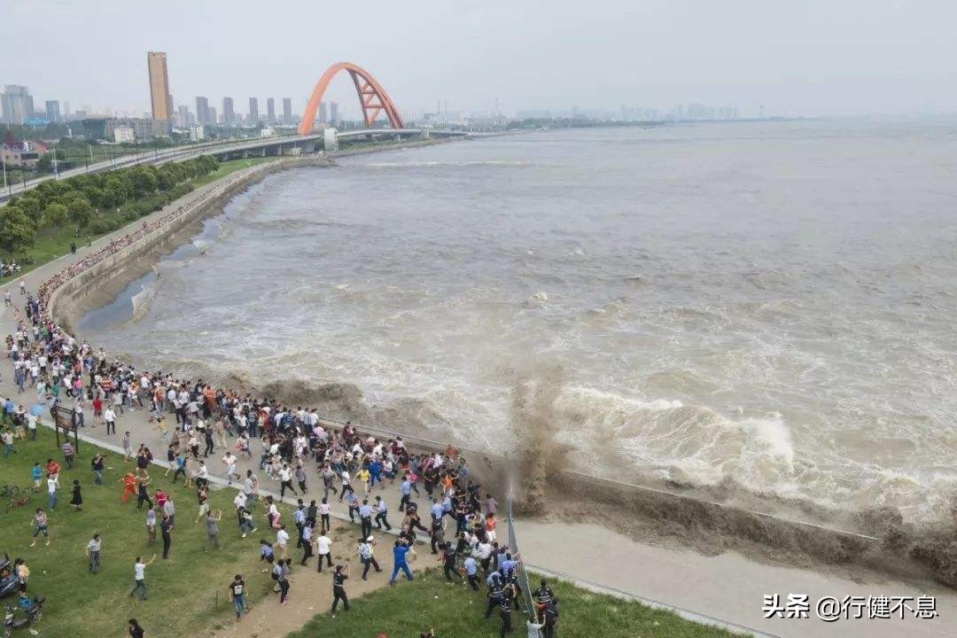 西湖荷花诗句古诗大全,荷花美景的诗句大全