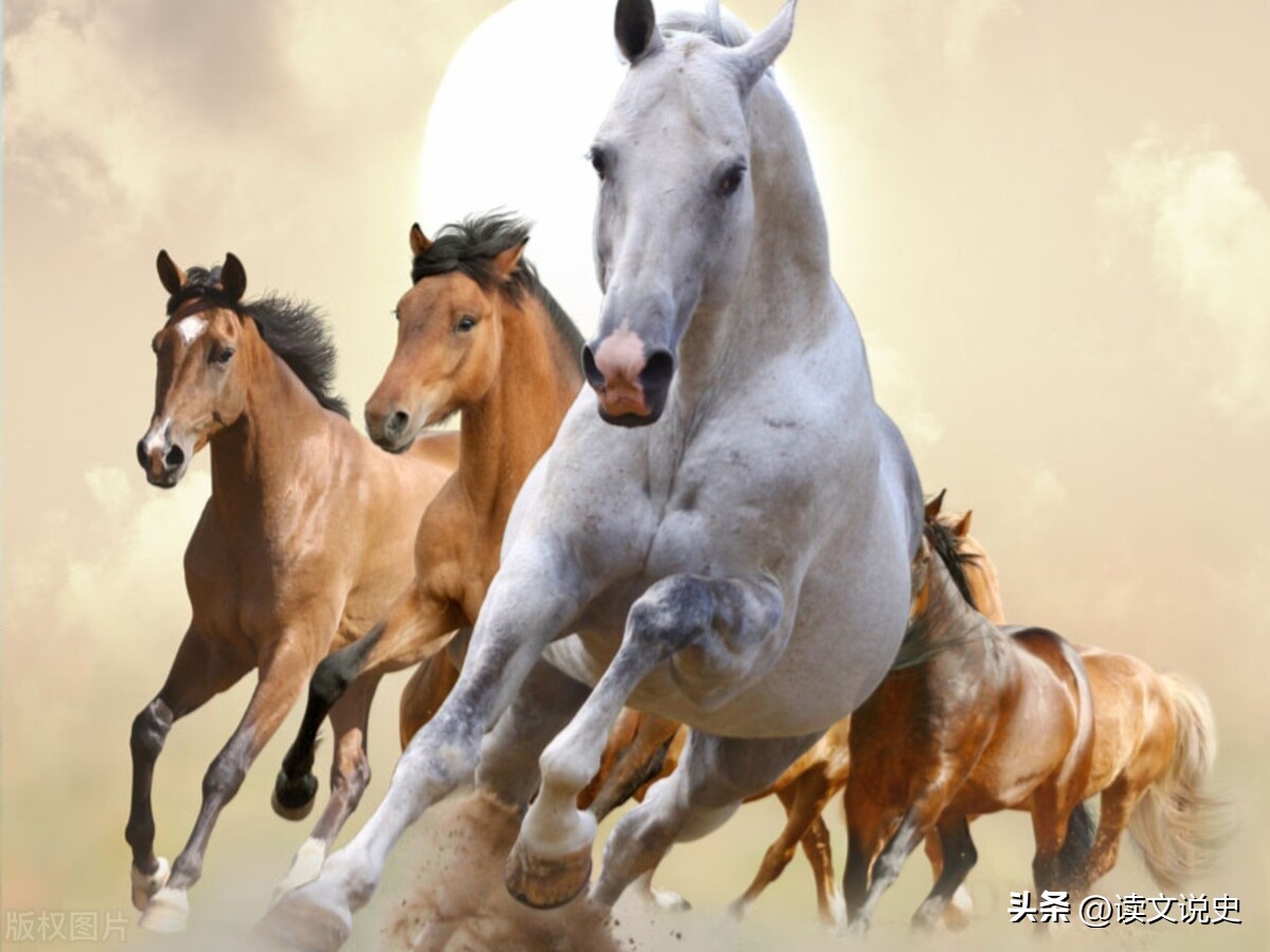 李贺最经典咏马诗,诗鬼李贺的写马诗