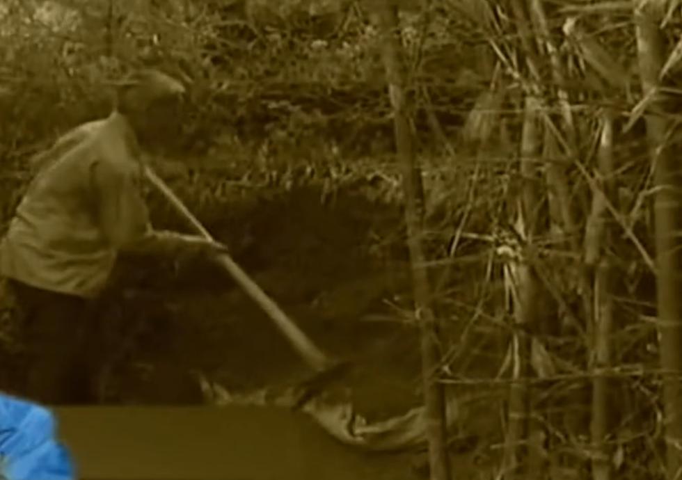 现实中抬棺诈尸事件,坟墓诈尸事件