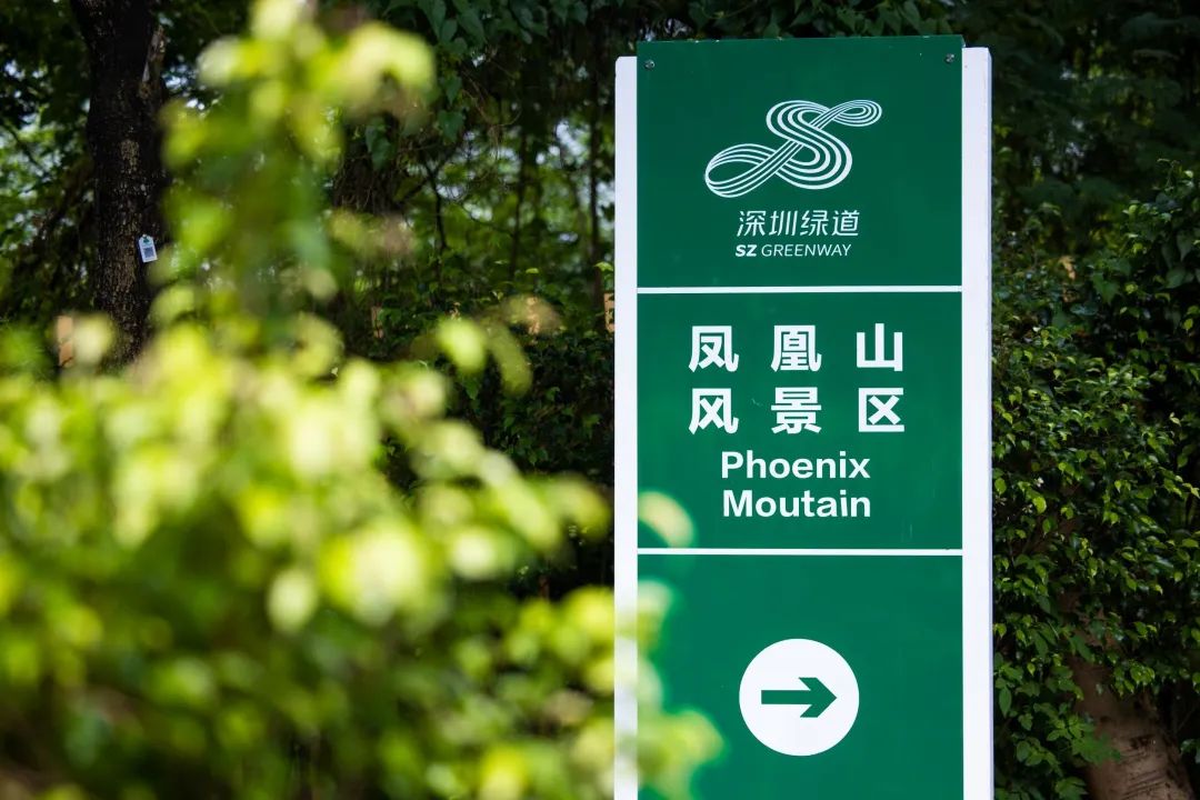 深圳凤凰山有条绿道叫什么,深圳凤凰山绿道旅游攻略