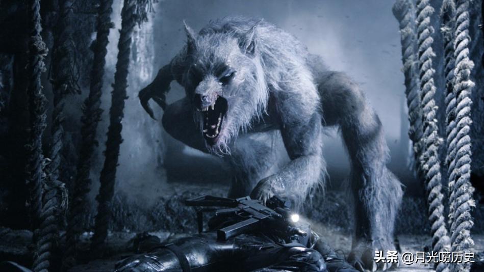 2019年狼人事件,18世纪狼人事件真相