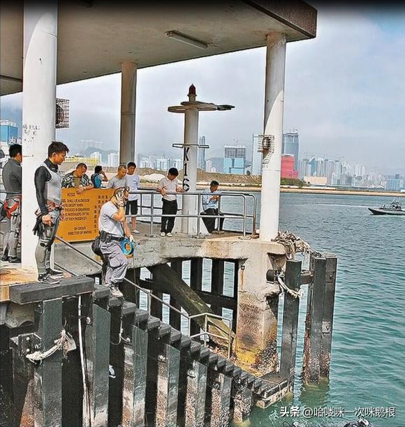 花季少女惨遭分尸案,16岁女孩被分尸15年才破案