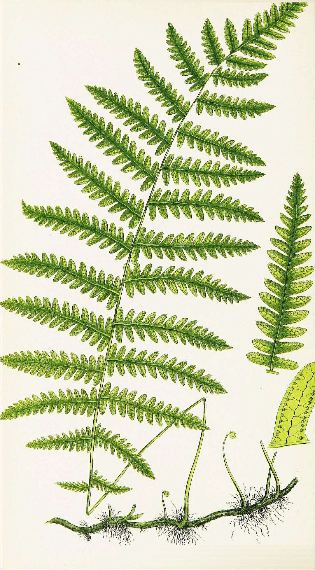 宁波的五龙潭,宁波五龙潭森林公园