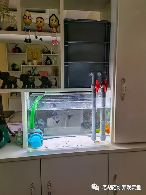 周转箱过滤好不好用,周转箱做过滤教程