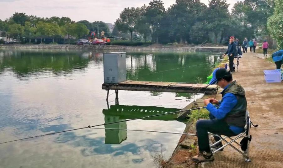 新手如何选择鱼竿才能保证不被坑,如何合理选择鱼竿