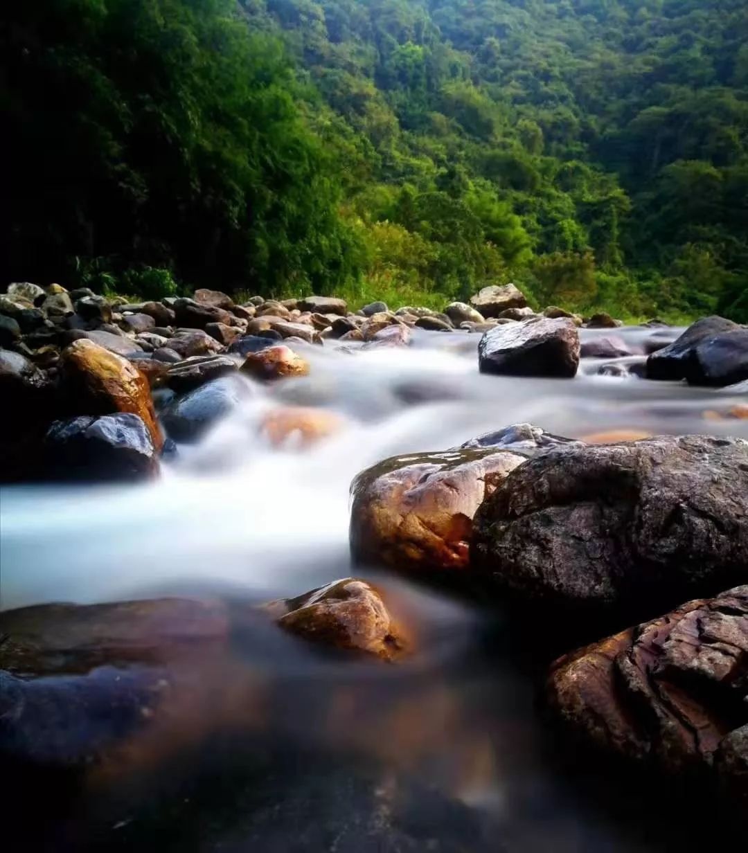 韶关小坑国家森林公园游玩攻略,韶关市内小景点
