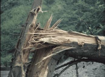 盘点内娱cp18年,内娱哪对cp可能是真的