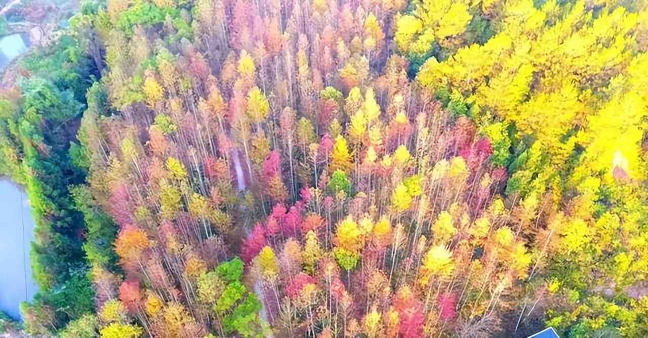 江西省信丰旅游景区,信丰坪地山凤溪谷旅游景点好玩吗