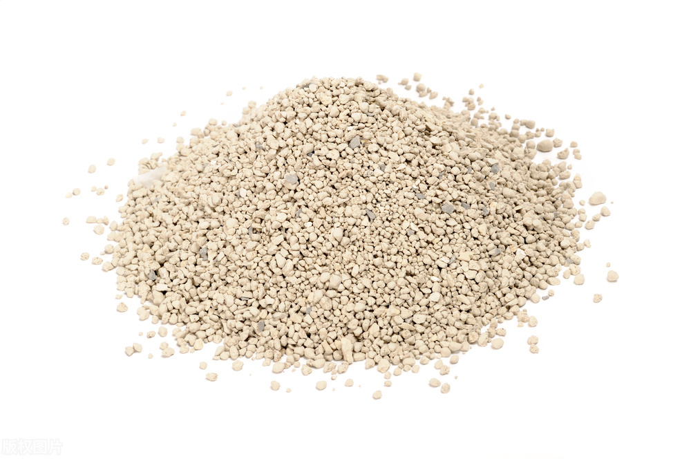 五年级第八单元好书推荐500字作文,五年级上册语文8单元习作范文