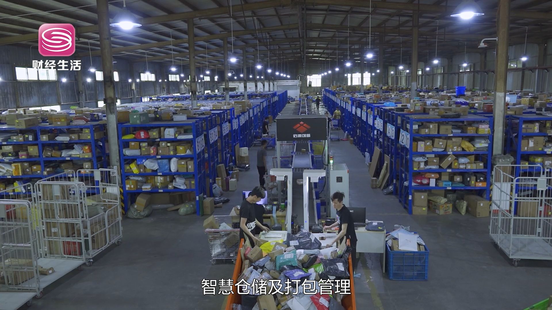 深圳直通车直播,深圳直通车