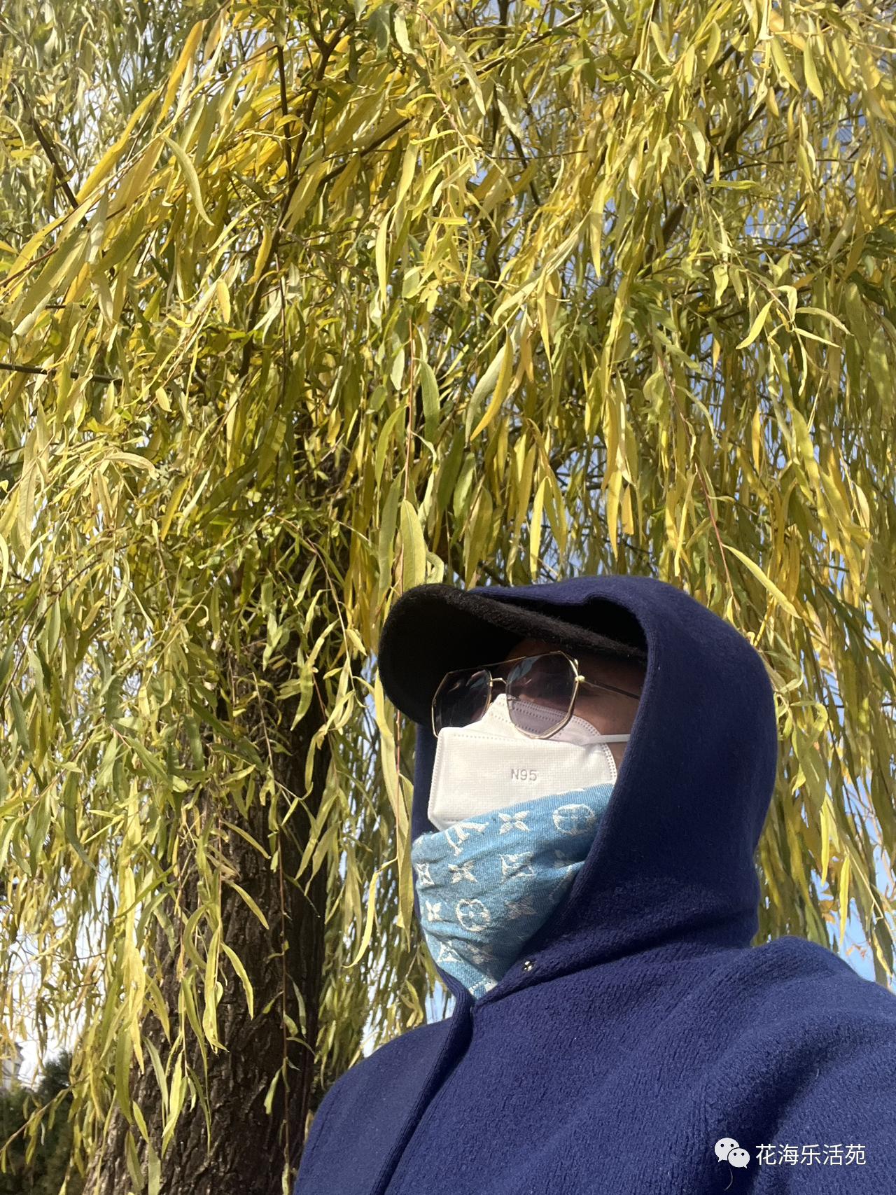 看世界杯足球比赛有感,看世界杯日记300字