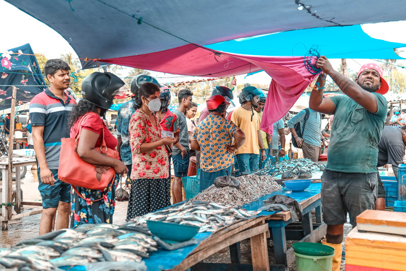 斯里兰卡旅游攻略必去景点,斯里兰卡最佳旅游攻略