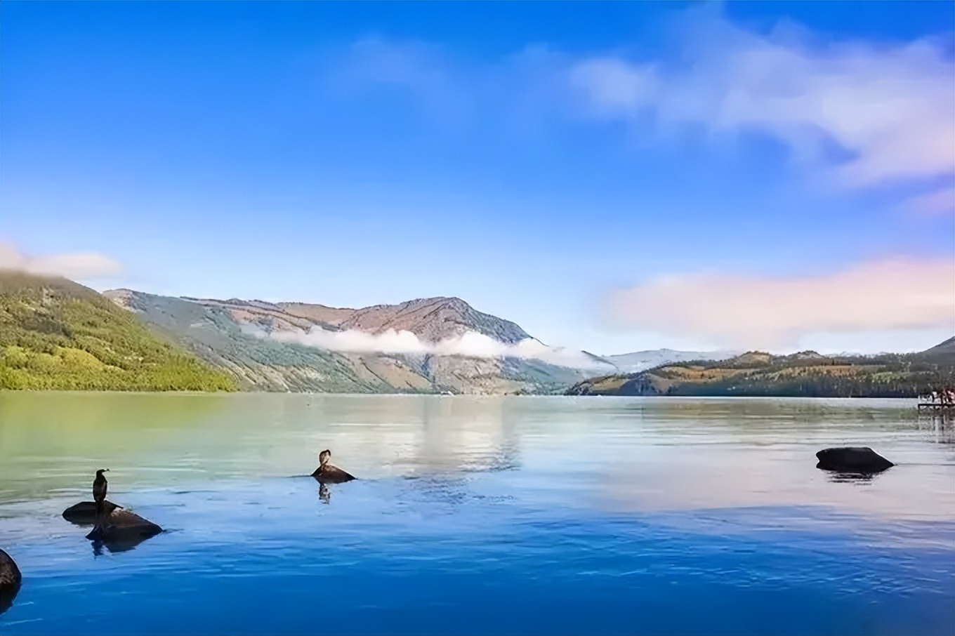 1992年,河北男子花30万买两只病鼠,几年后反而大赚8000万