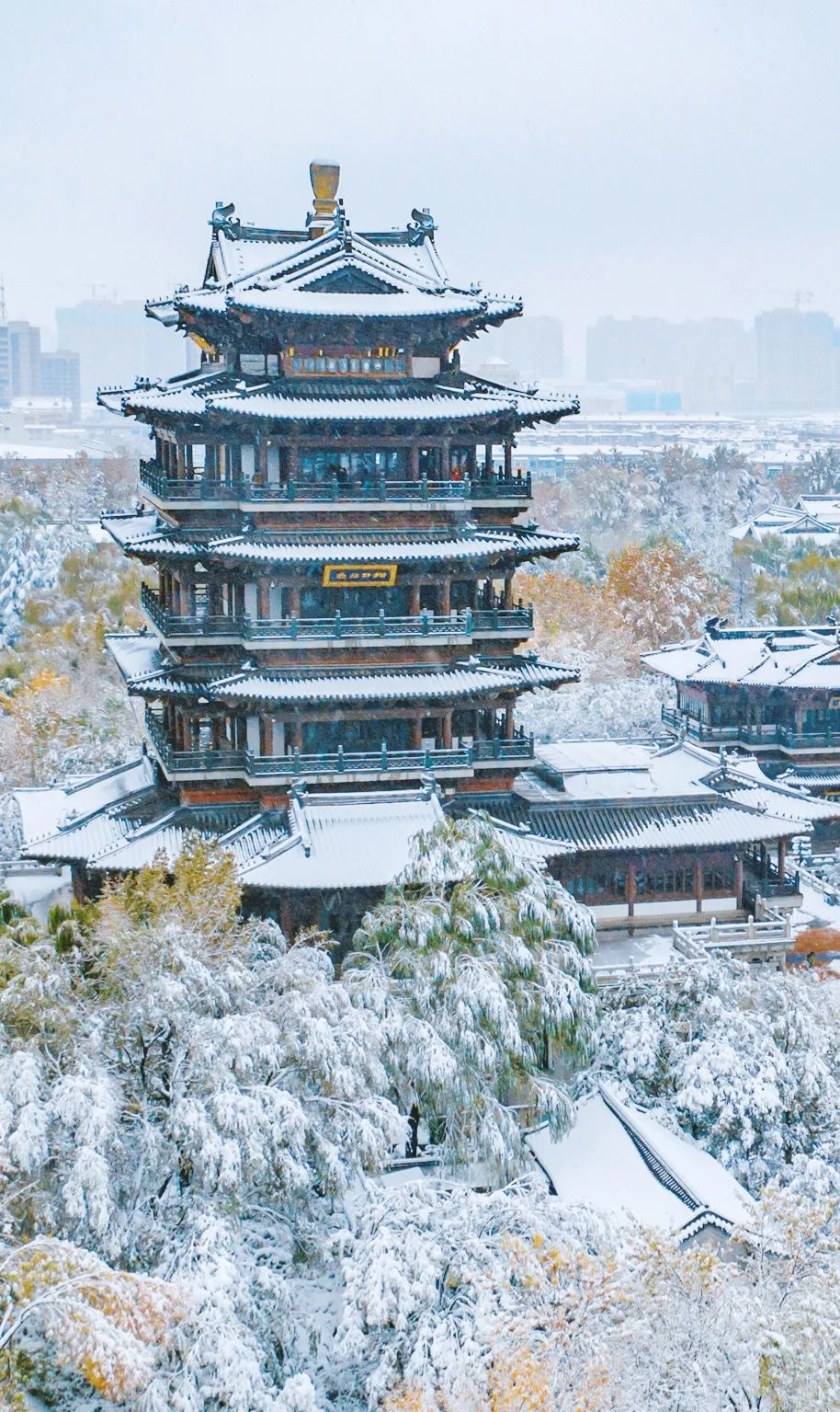 冬天100张绝美雪壁纸,好看的雪壁纸图片全屏高级感