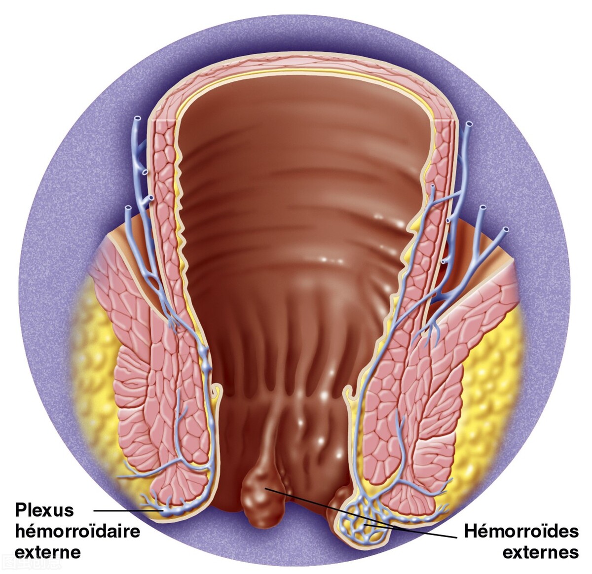 鑵伴吀鑲涢棬鍧犺儉,鑲涢棬鍧犺儉绌翠綅