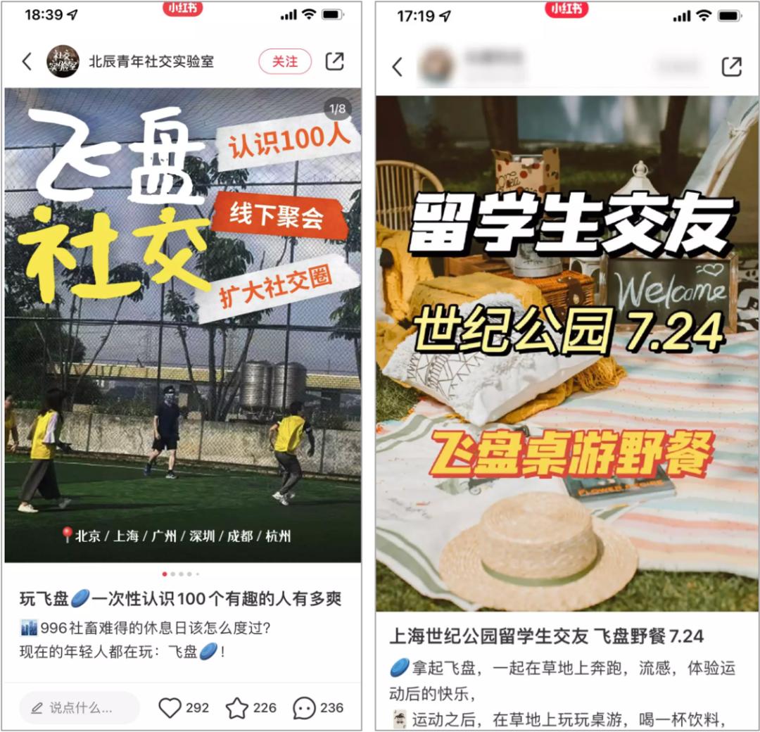 飞盘经营收益,飞盘火爆背后