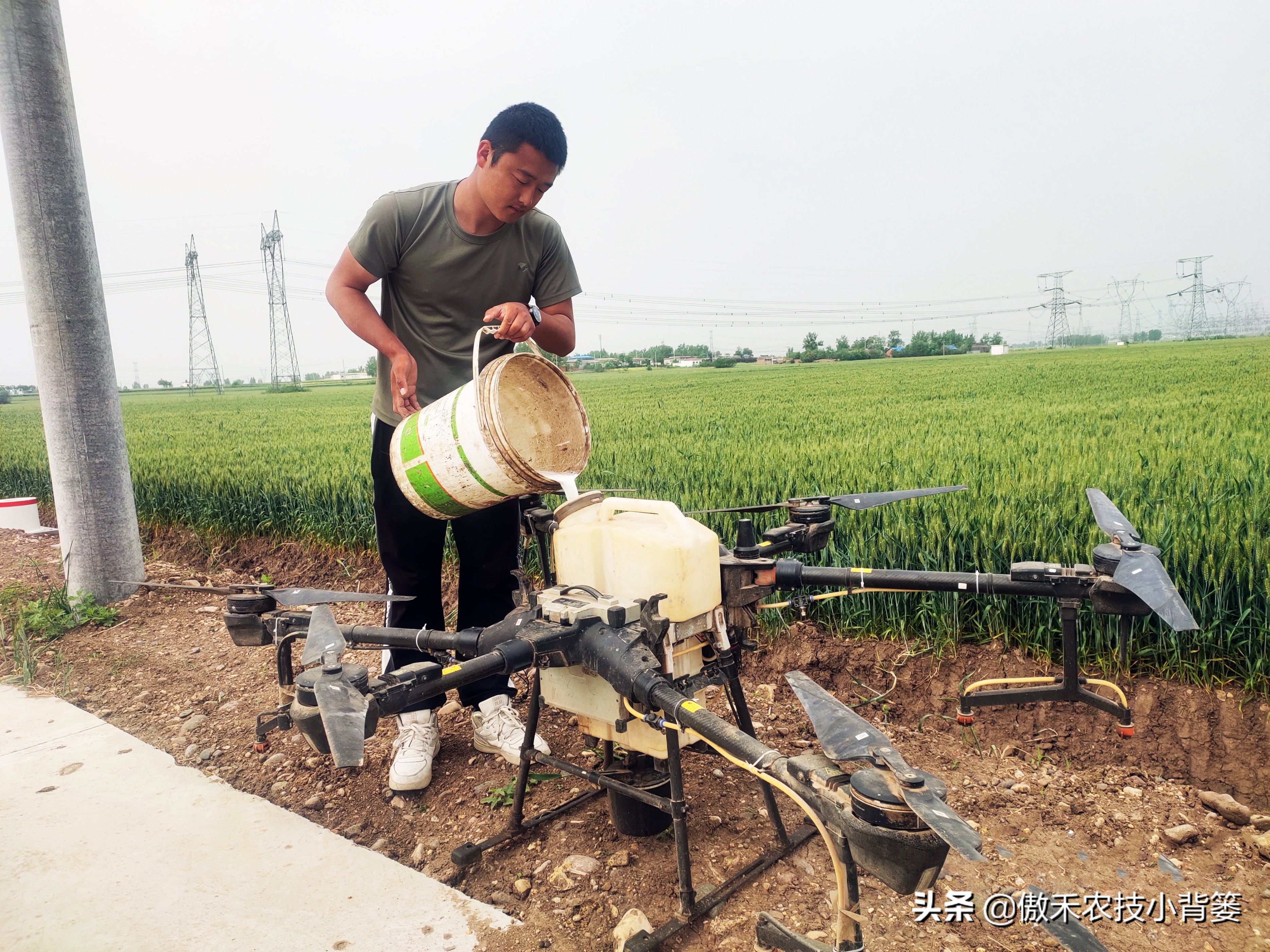 杀虫剂吡虫啉好还是啶虫脒好,杀虫剂吡虫啉的特性及使用方法