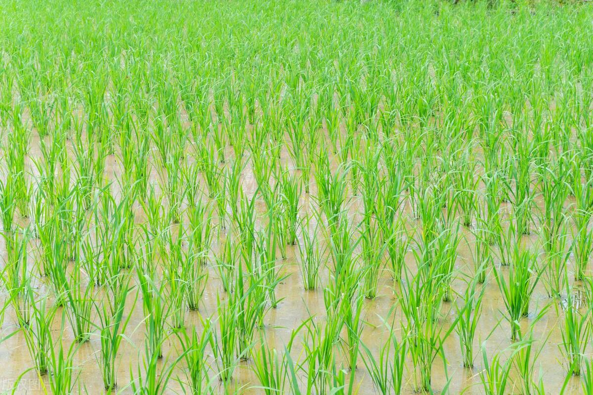 考试焦虑症最好的解决方法,考试祝福语