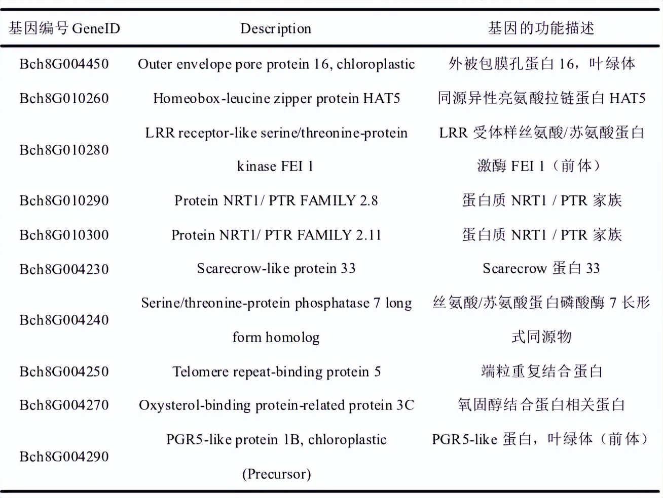 冬瓜果实的类型,冬瓜种子外形特点