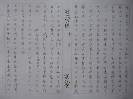 沔阳龙氏宗谱,沔阳张氏宗谱