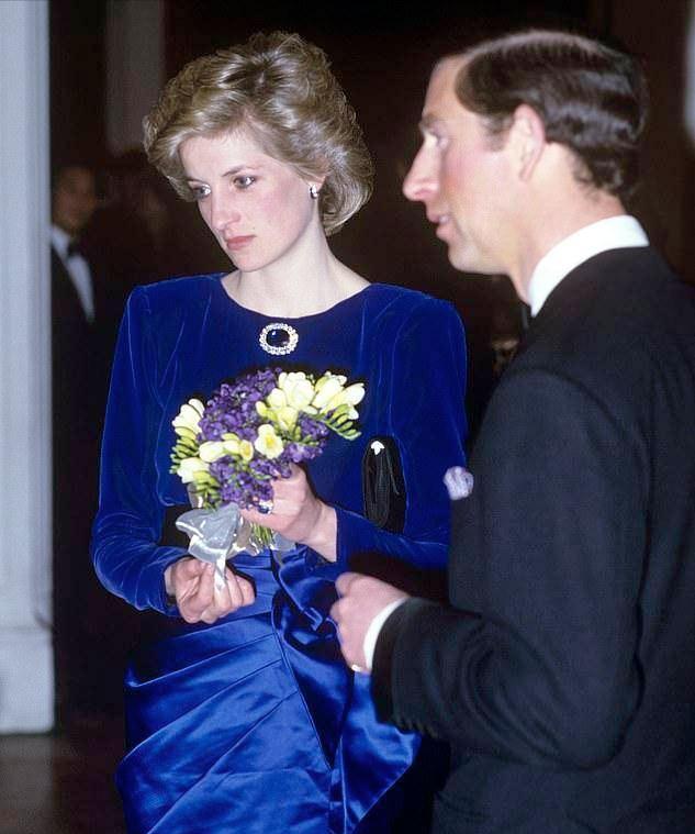 戴安娜与多迪的关系,多迪和戴安娜